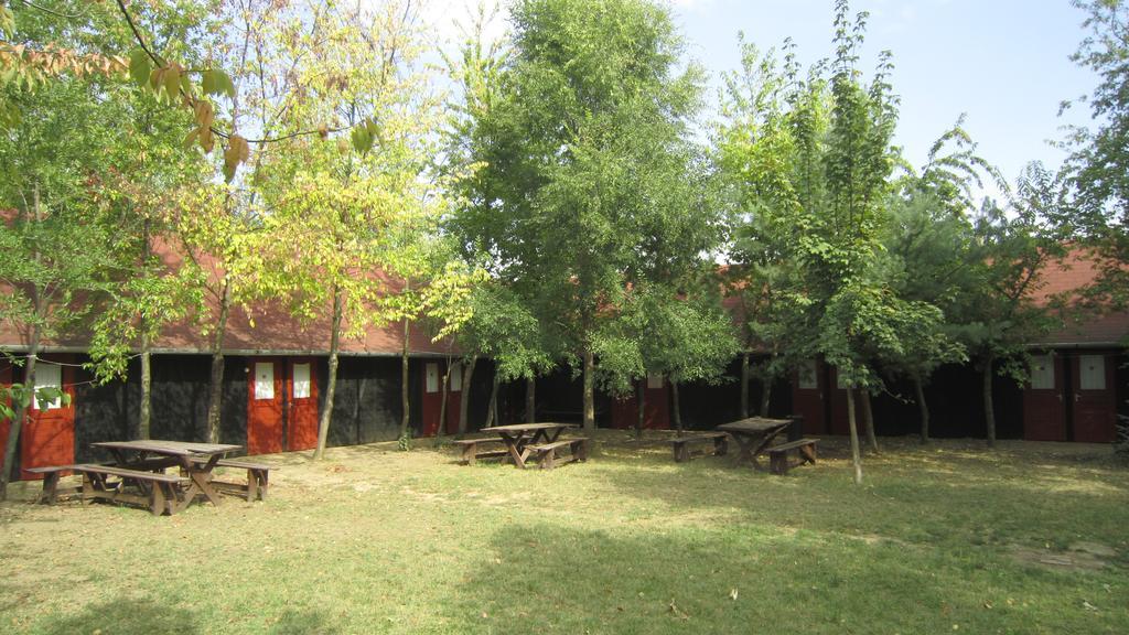 Nyirfaliget Lovaskemping Es Turistahaz Hotel นีเรกฮาซา ภายนอก รูปภาพ